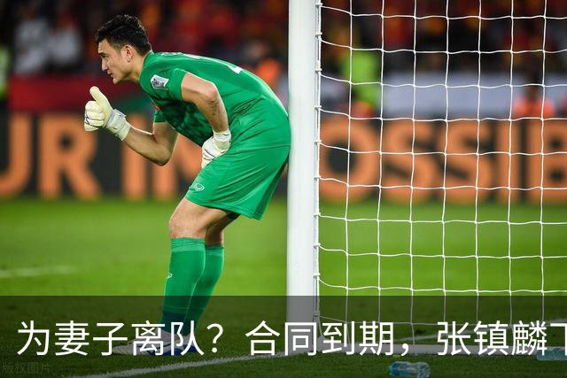 为妻子离队？合同到期，张镇麟下家4选1，广东2队有机会