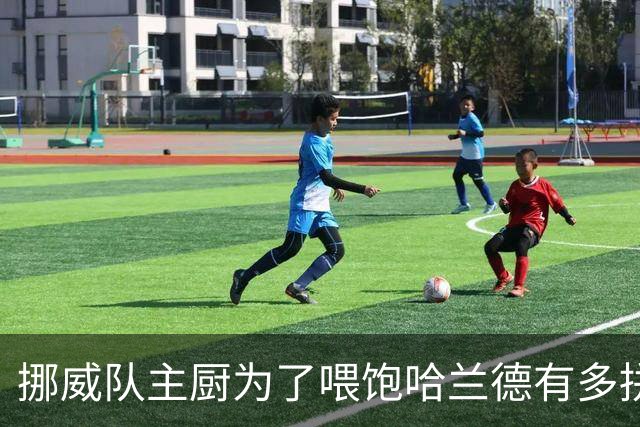 挪威队主厨为了喂饱哈兰德有多拼？他每天要补充6000卡路里热量，进入淘汰赛后球队紧急订购食材